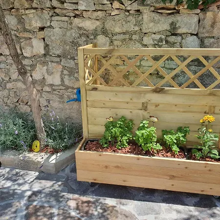 Kuca Za Odmor Zinzula *