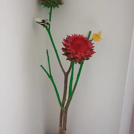 Semesterbostad Kuca Za Odmor Zinzula *