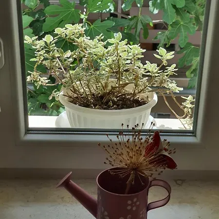 Semesterbostad Kuca Za Odmor Zinzula